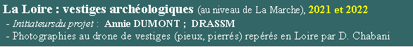 Zone de Texte: La Loire : vestiges archologiques (au niveau de La Marche), 2021 et 2022    - Initiateursdu projet :  Annie DUMONT ;  DRASSM  - Photographies au drone de vestiges (pieux, pierrs) reprs en Loire par D. Chabani