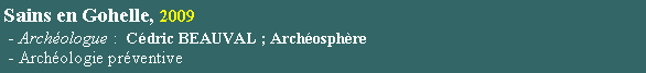 Zone de Texte: Sains en Gohelle, 2009 - Archologue :  Cdric BEAUVAL ; Archosphre - Archologie prventive