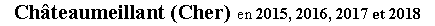 Zone de Texte: Chteaumeillant (Cher)  en 2015, 2016, 2017 et 2018