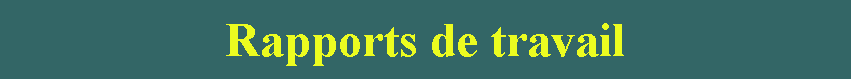 Zone de Texte: Rapports de travail