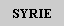 Zone de Texte: SYRIE