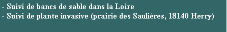 Zone de Texte: - Suivi de bancs de sable dans la Loire - Suivi de plante invasive (prairie des Saulires, 18140 Herry)