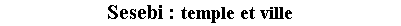 Zone de Texte: Sesebi : temple et ville
