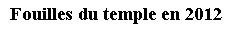 Zone de Texte: Fouilles du temple en 2012