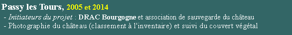 Zone de Texte: Passy les Tours, 2005 et 2014 - Initiateurs du projet : DRAC Bourgogne et association de sauvegarde du chteau                                                                                             - Photographie du chteau (classement  l'inventaire) et suivi du couvert vgtal 