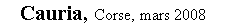 Zone de Texte: Cauria, Corse, mars 2008