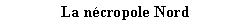 Zone de Texte:  La ncropole Nord       