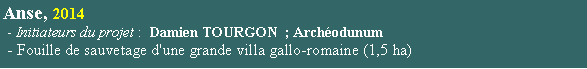 Zone de Texte: Anse, 2014 - Initiateurs du projet :  Damien TOURGON  ; Archodunum - Fouille de sauvetage d'une grande villa gallo-romaine (1,5 ha)