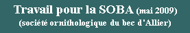 Zone de Texte: Travail pour la SOBA (mai 2009) (socit ornithologique du bec d'Allier)