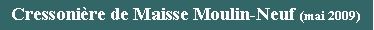 Zone de Texte: Cressonire de Maisse Moulin-Neuf (mai 2009)