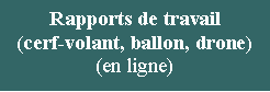 Zone de Texte: Rapports de travail (cerf-volant, ballon, drone)(en ligne)